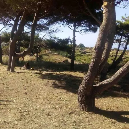 Dammuso -villa Tipica Siciliana- Arco Dell'elefante Villa